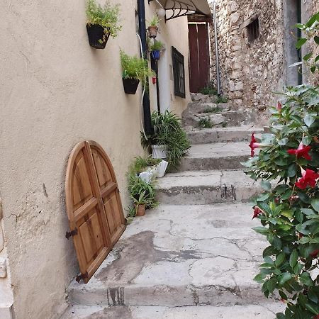 Room With Shared Bathroom House Gorica Sibenik Luaran gambar